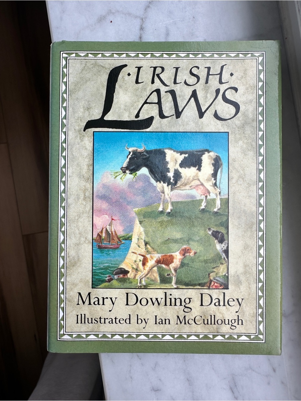 Irish Laws book by Mary Dowling Daley